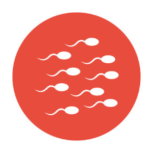 Sperm fragmentation Loma Linda University